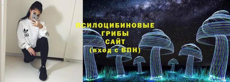 как найти закладки  Любим  Галлюциногенные грибы Magic Shrooms 